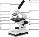 microscope1.jpg